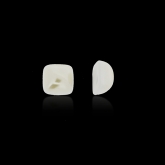 BSC53
